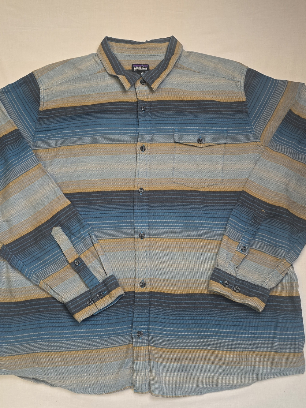 Patagonia Blue Striped Long-Sleeve Button-Up Shirt